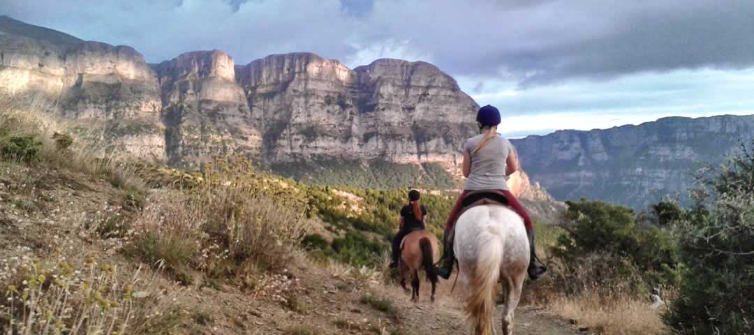 White Pegasus horse rides in Zagori